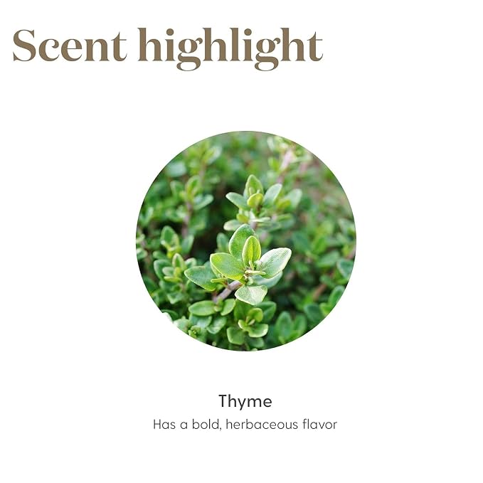 Oli Essenziali YOUNG LIVING - Timo (Thyme) - 15ml - 36536 - Culinary Essential Oil for Recipes, Seasonings & Kitchen Use