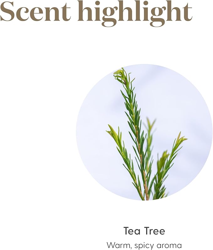 Oli Essenziali YOUNG LIVING - Albero del tè (Tea Tree) - 15ml - 32052