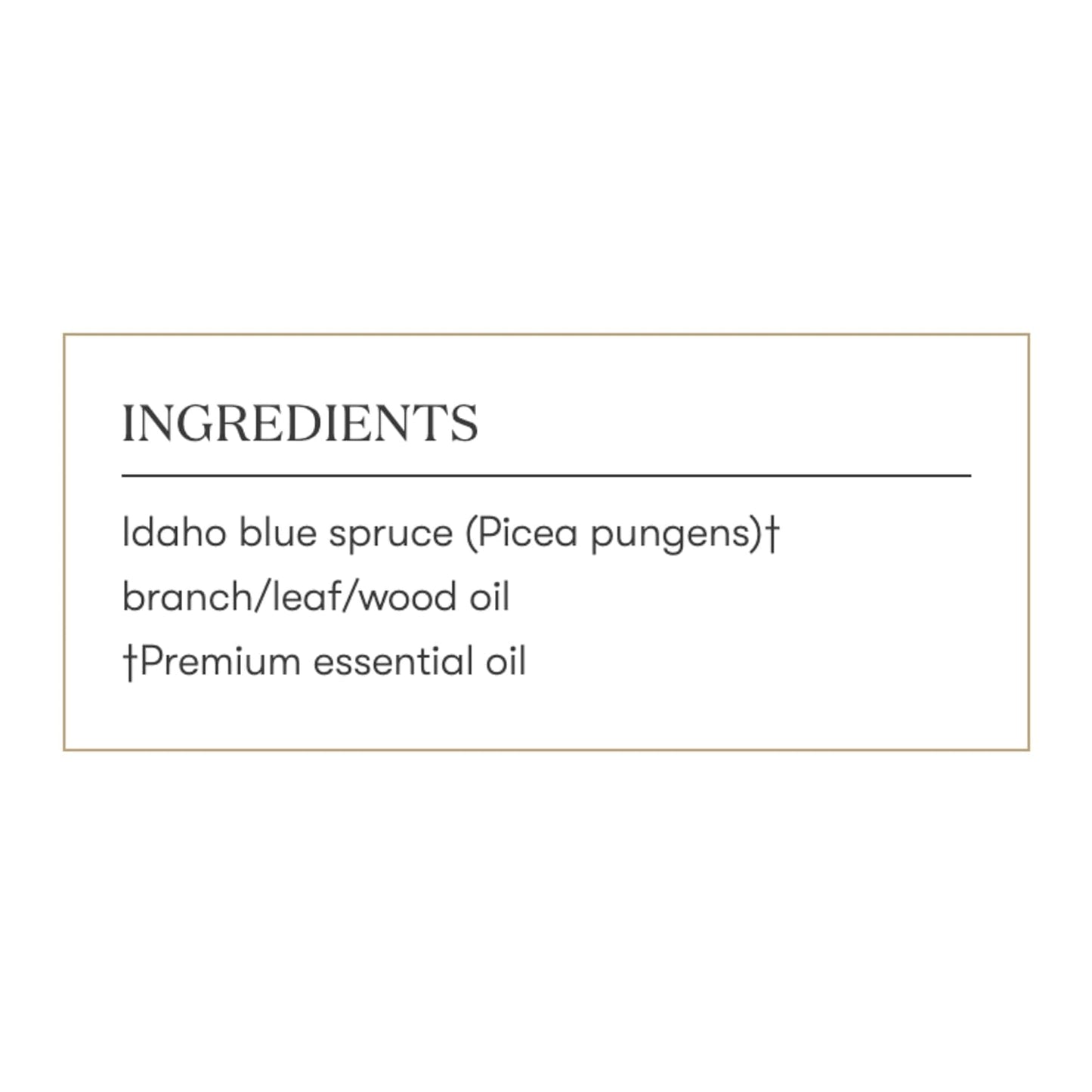 Oli Essenziali YOUNG LIVING - Abete blu Idaho (Idaho Blue Spruce) - 5ml - 33296 - Meditation and Yoga Aromatherapy