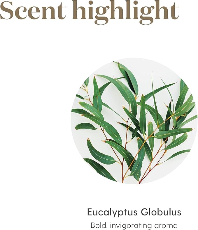 Oli Essenziali YOUNG LIVING - Eucalipto (Eucalyptus Globulus) - 15ml - 32028 - Oil Supports Breathing Comfort & Relaxation
