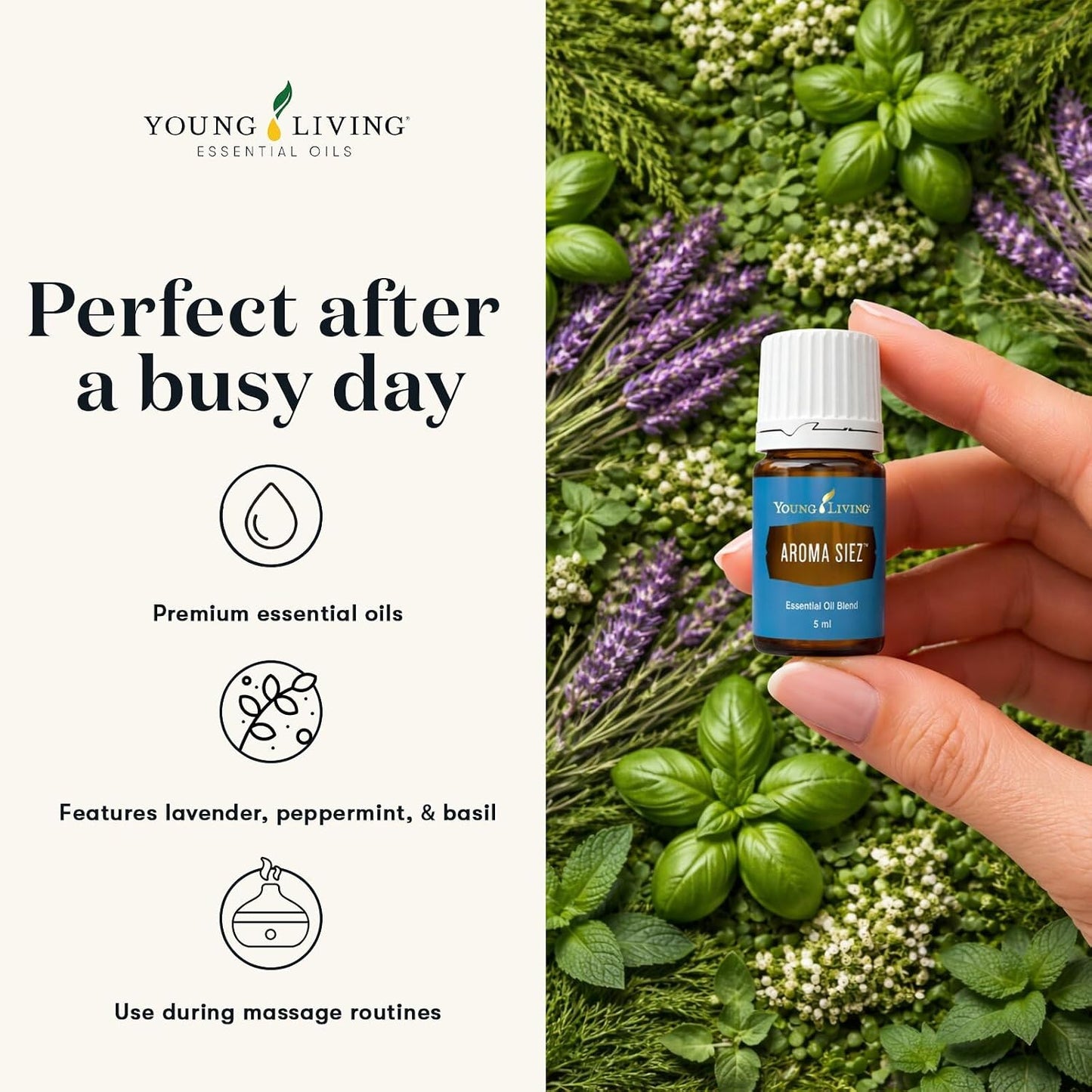 Oli Essenziali YOUNG LIVING - Aroma Siez - 15ml - 37416 - Lavender, Peppermint & Basil Blend