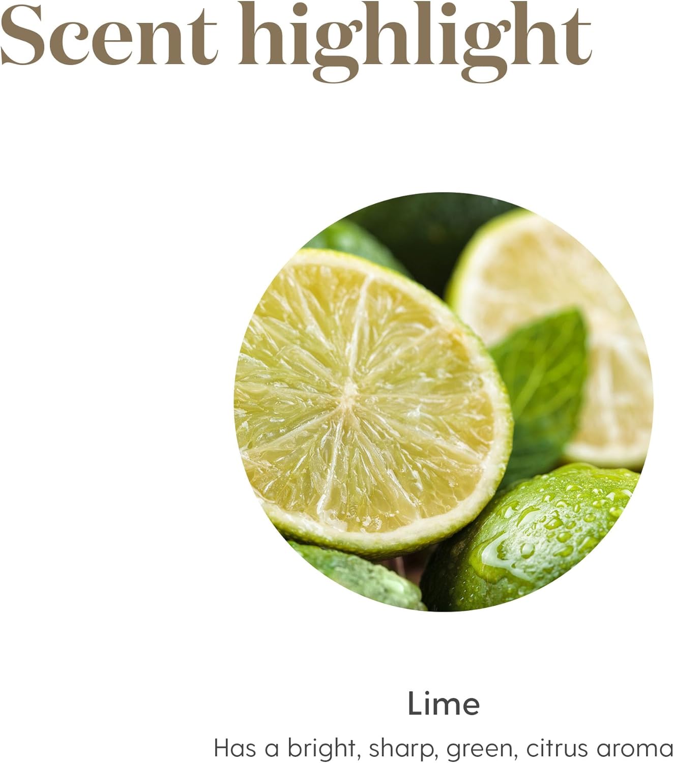 Oli Essenziali YOUNG LIVING - Timo+ (Thyme+) - 5ml - 559708 - Essential Oil for Culinary Creations - Adds Delicious Zing to Dishes