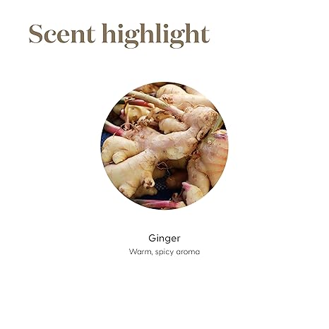 Young Living Essential Oils - Ginger (Zenzero) - 5ml - 33102 - Essential Oils