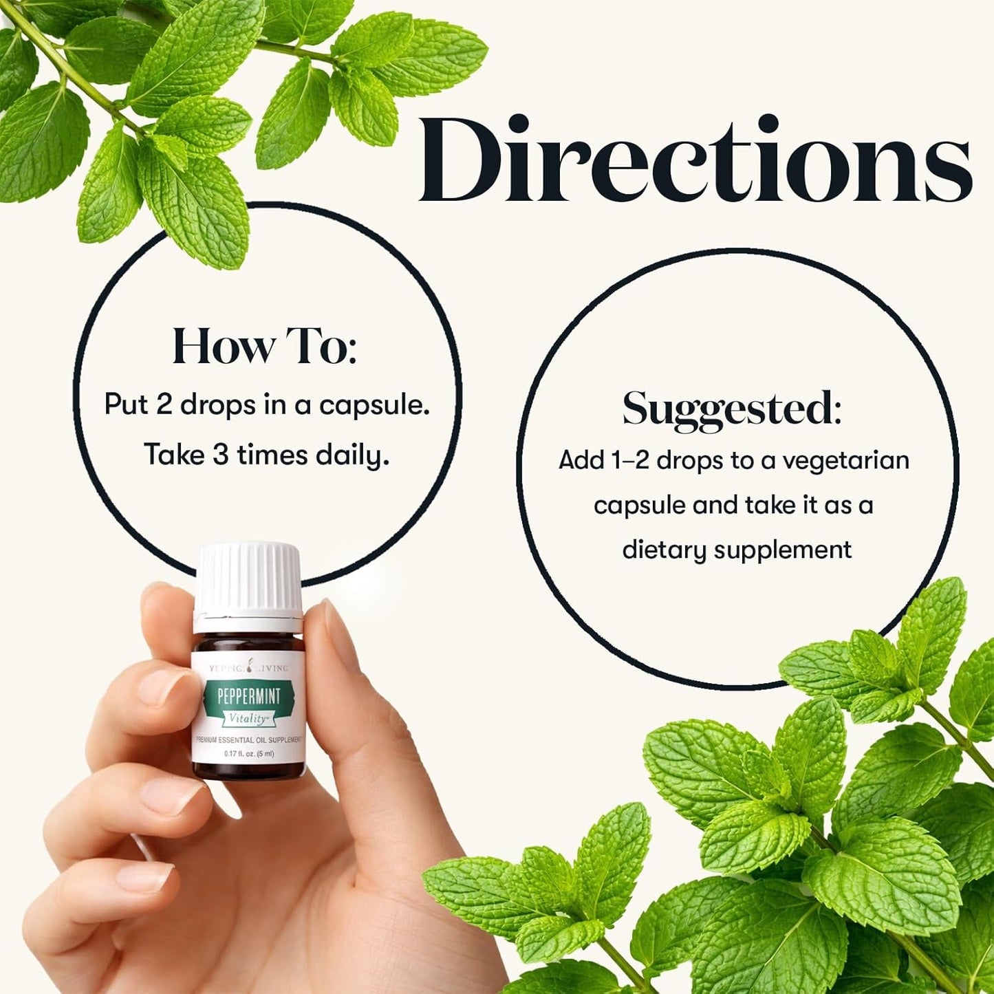Young Living Essential Oils - Peppermint+ (Menta piperita) - 5ml - 562808 - Fresh Minty Aroma and Cooling Sensation