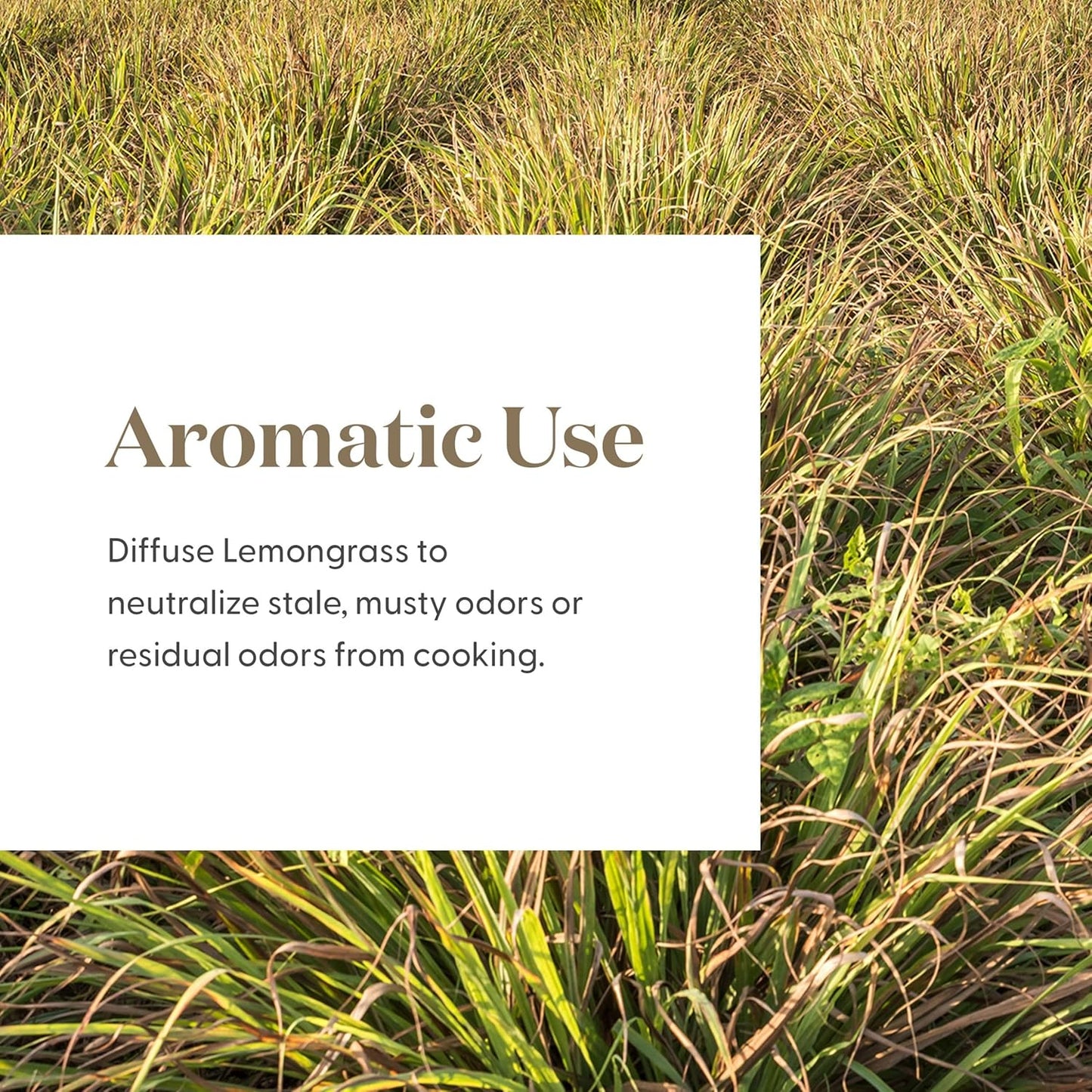 Young Living Essential Oils - Lemongrass 5ml - 562608