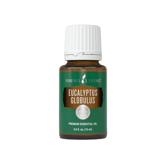 Young Living Essential Oils - Eucalyptus Globulus (Eucalipto) - 15ml - Supports Breathing Comfort & Relaxation