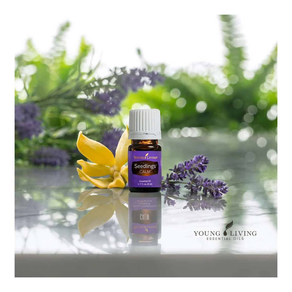 Young Living Essential Oils - Seedlings Calm - 5ml - 33399