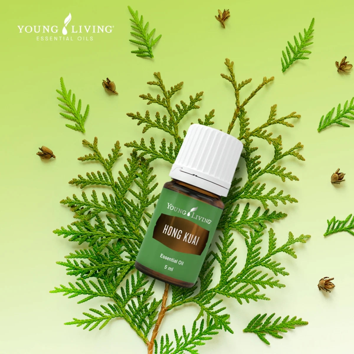 Oli Essenziali YOUNG LIVING - Hong Kuai - 5ml - 33294