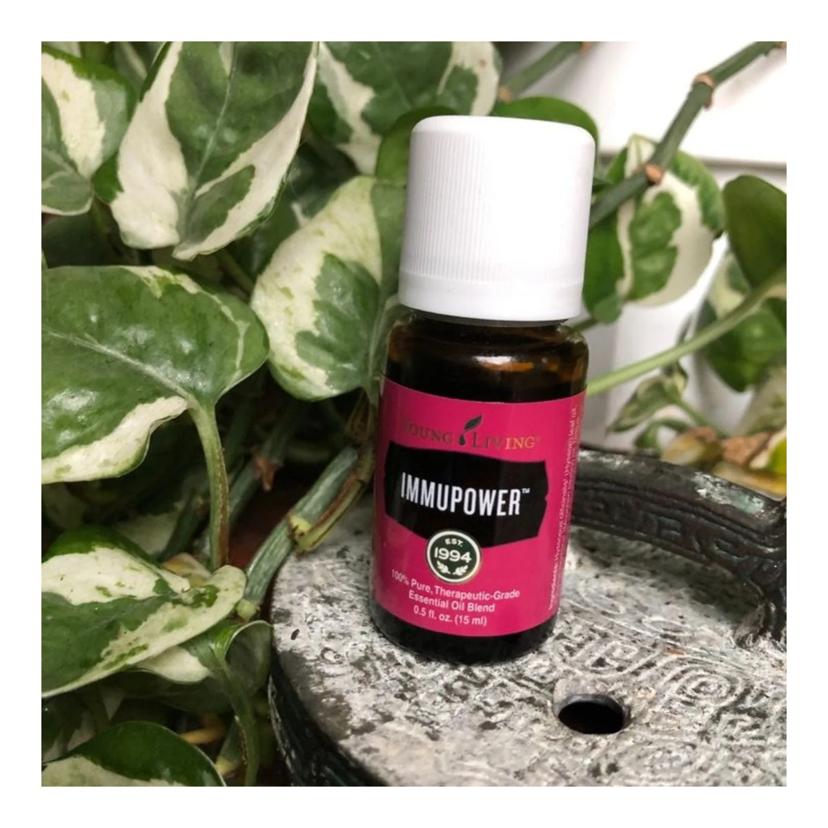 Oli Essenziali YOUNG LIVING - ImmuPower - 15ml - 33301