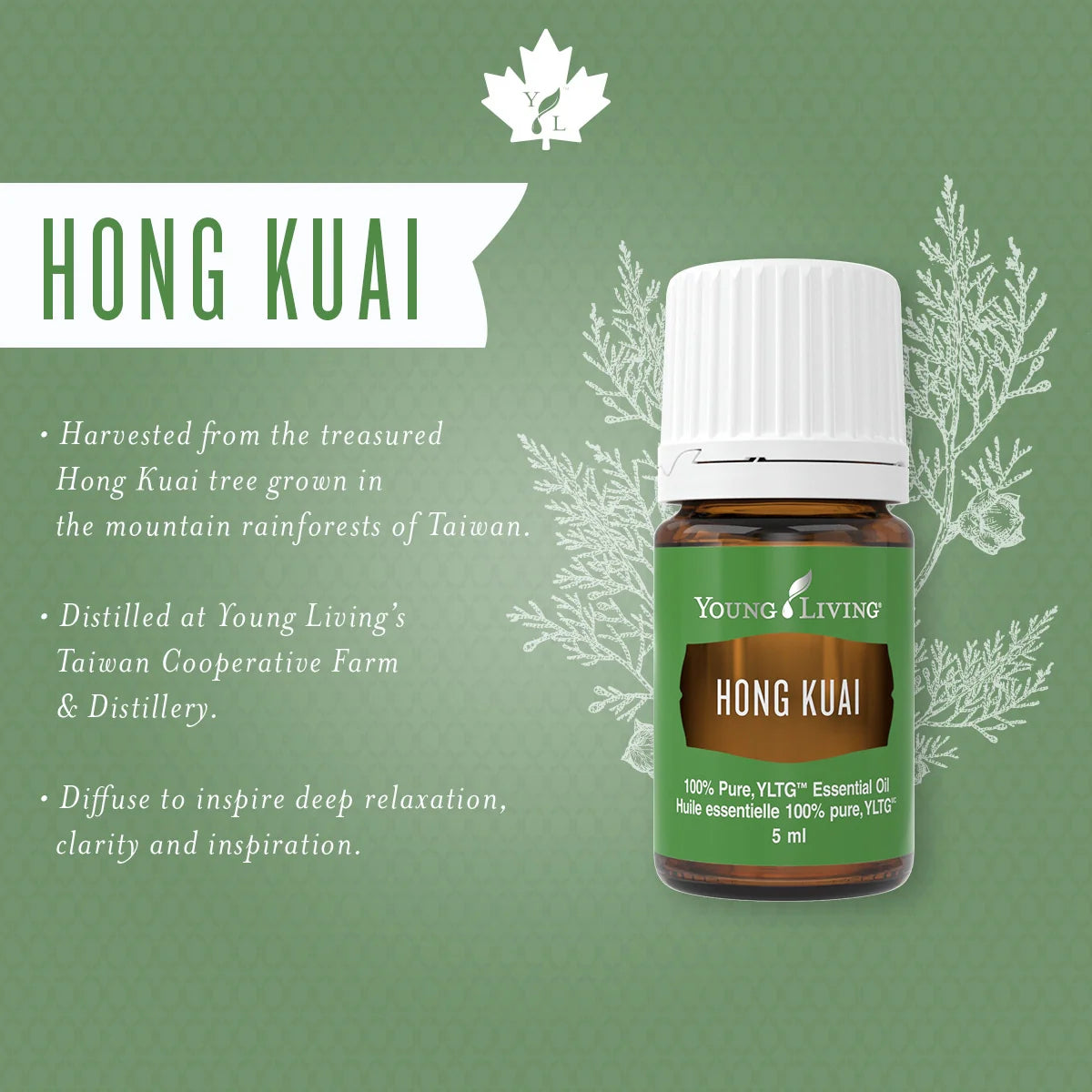 Oli Essenziali YOUNG LIVING - Hong Kuai - 5ml - 33294
