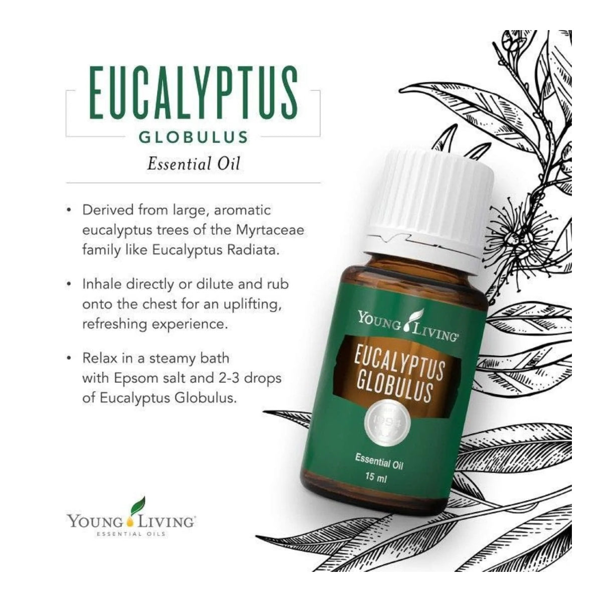 Young Living Essential Oils - Eucalyptus Globulus (Eucalipto) - 15ml - Supports Breathing Comfort & Relaxation