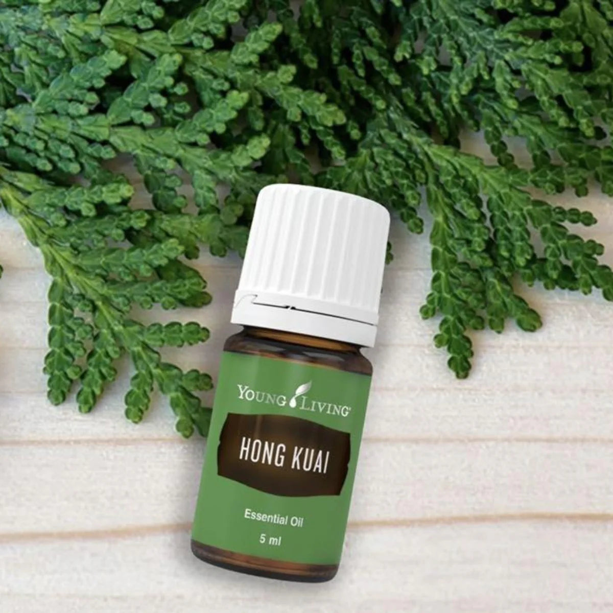 Oli Essenziali YOUNG LIVING - Hong Kuai - 5ml - 33294