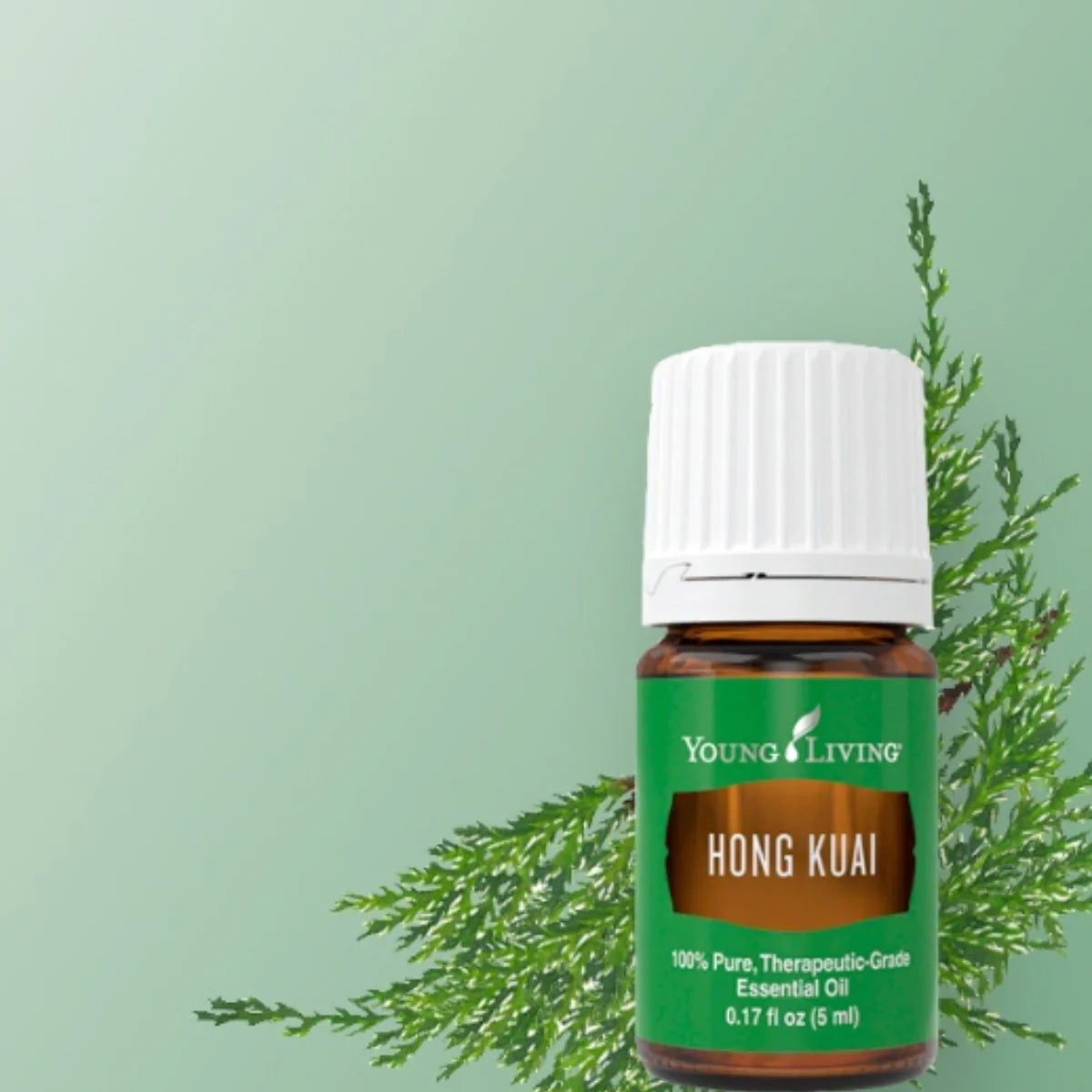 Oli Essenziali YOUNG LIVING - Hong Kuai - 5ml - 33294