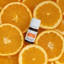 Young Living Essential Oils - Orange+ (Arancia+) - 5ml - 562708 - Bright Citrus Aroma to Refresh