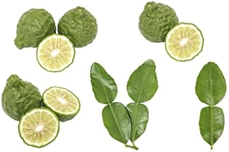 Oli Essenziali YOUNG LIVING - Bergamotto (Bergamot) - 15ml - 31995 - Cleansing & Purifying Wellness Relax