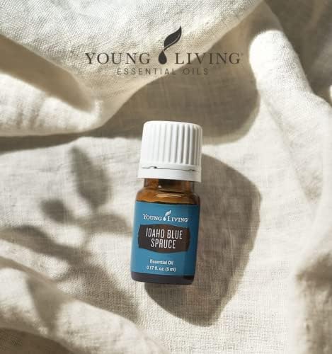 Oli Essenziali YOUNG LIVING - Abete blu Idaho (Idaho Blue Spruce) - 5ml - 33296 - Meditation and Yoga Aromatherapy