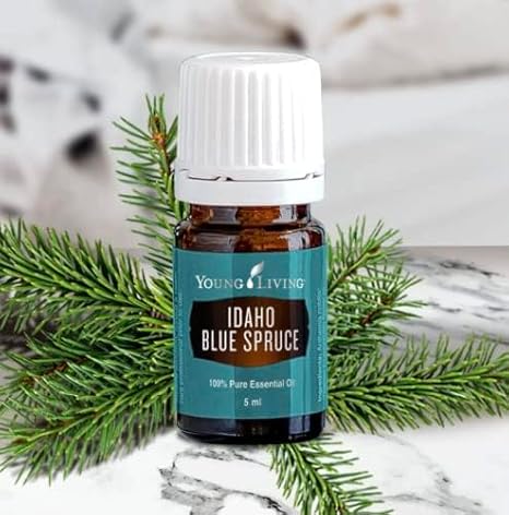 Oli Essenziali YOUNG LIVING - Abete blu Idaho (Idaho Blue Spruce) - 5ml - 33296 - Meditation and Yoga Aromatherapy