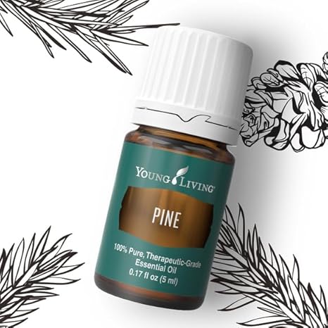 Oli Essenziali YOUNG LIVING - Pino (Pine) - 15ml - 32015 - Personal Care & Aromatherapy