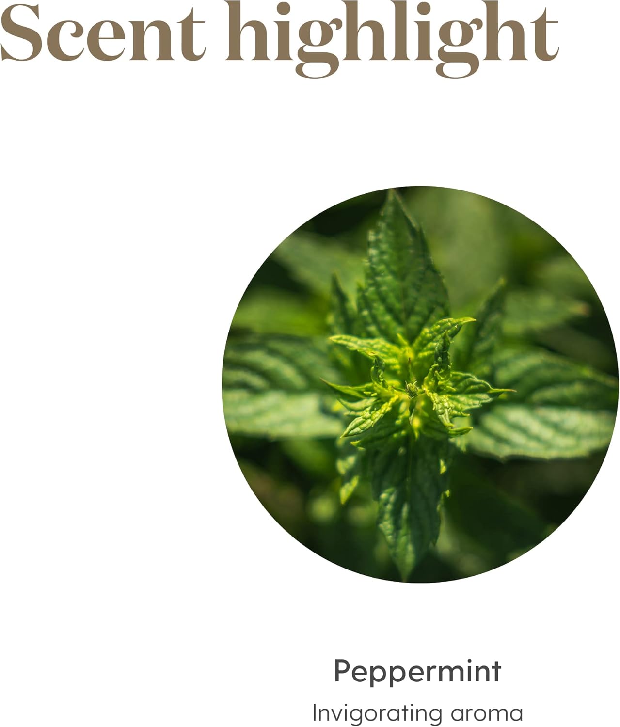 Oli Essenziali YOUNG LIVING - Menta (Peppermint) - 15ml - 32046 - Fresh Minty Aroma and Cooling Sensation