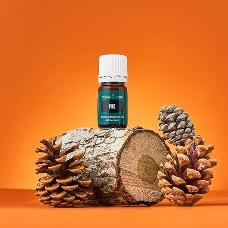 Oli Essenziali YOUNG LIVING - Pino (Pine) - 15ml - 32015 - Personal Care & Aromatherapy