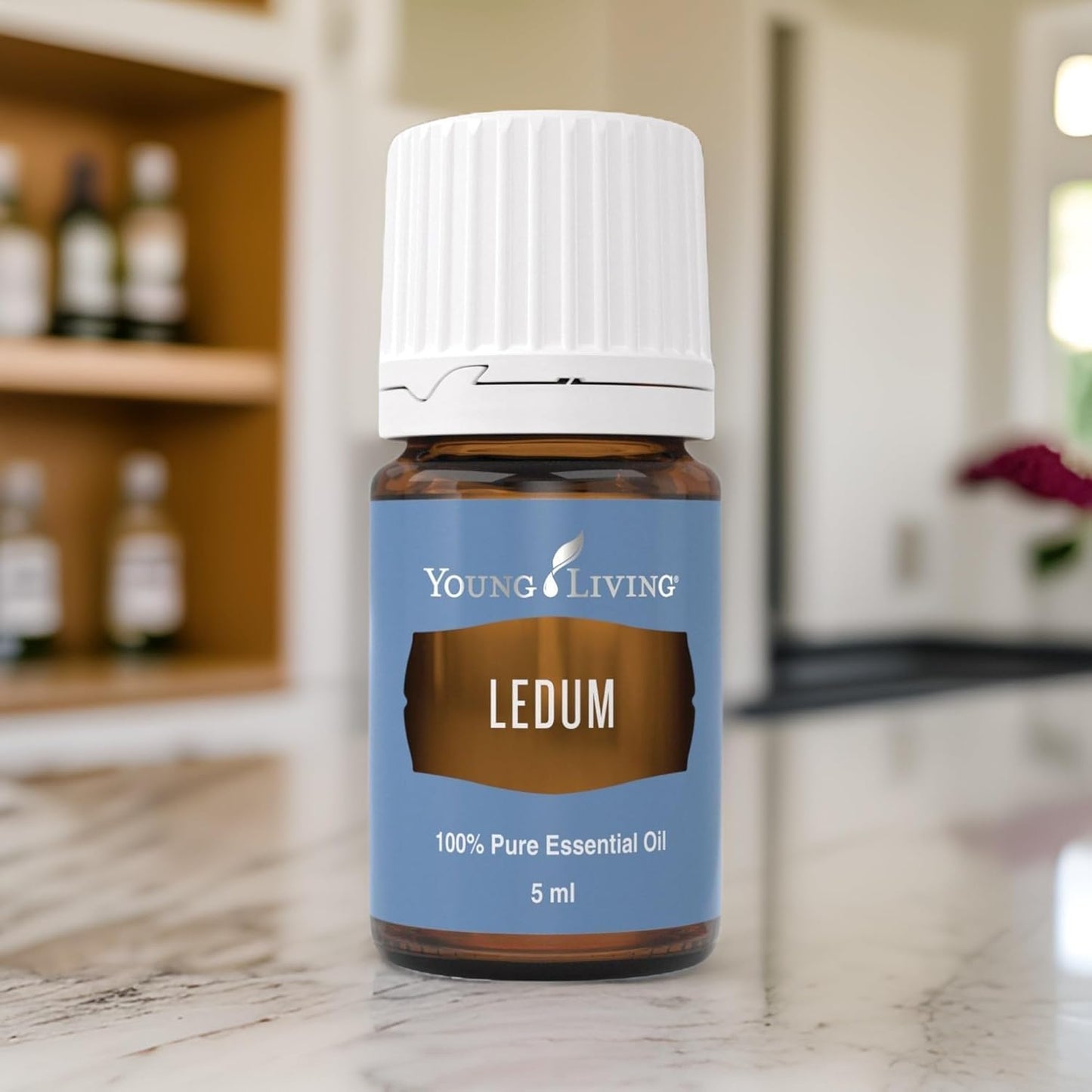 Oli Essenziali YOUNG LIVING - Ledum - 5ml - 33322 - Spiritual Cleansing & Harmonizing Aroma