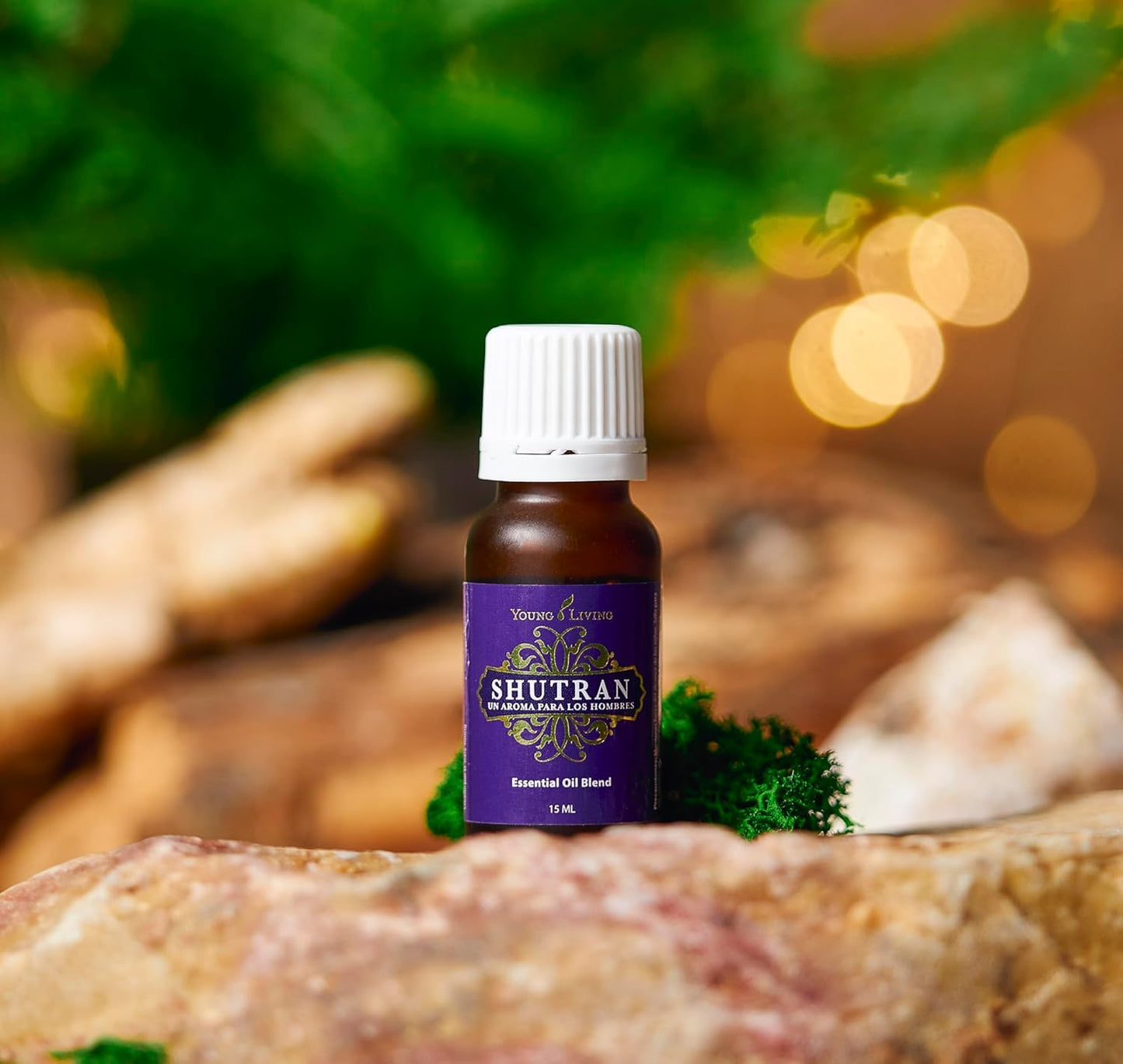 Oli Essenziali YOUNG LIVING - Shutran - 15ml - 33312 - Vegan-Friendly | Natural