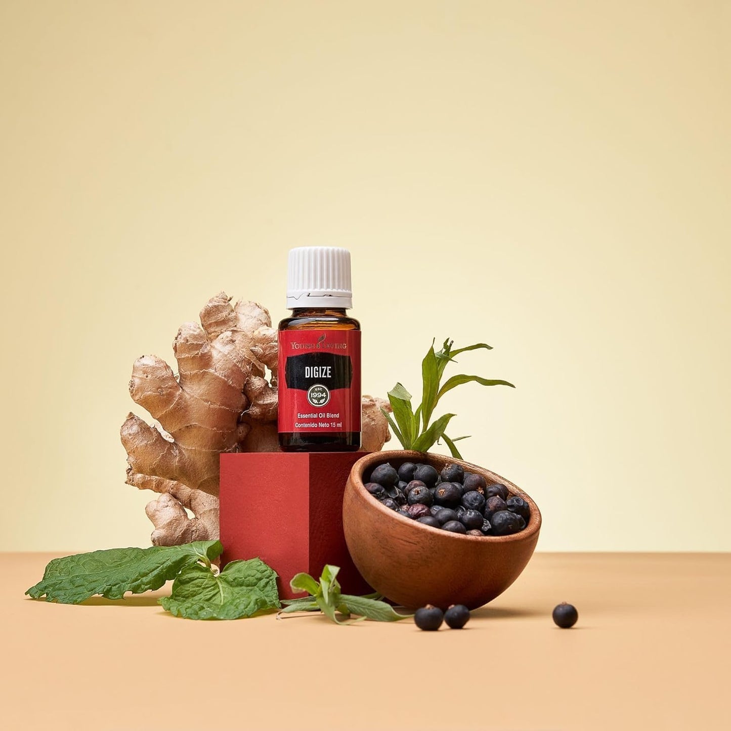 Oli Essenziali YOUNG LIVING - Di-Gize® Digize - 15ml - 32060 - Invigorating Diffuser Use & Relaxing Scent for Everyday Rituals