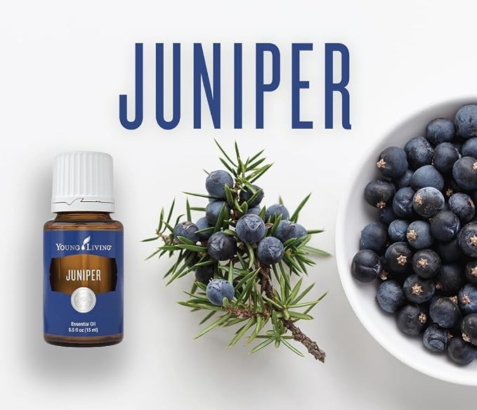 Oli Essenziali YOUNG LIVING - Ginepro (Juniper) - 15ml - 33278 - Enhances Feelings of Peace & Well-Being