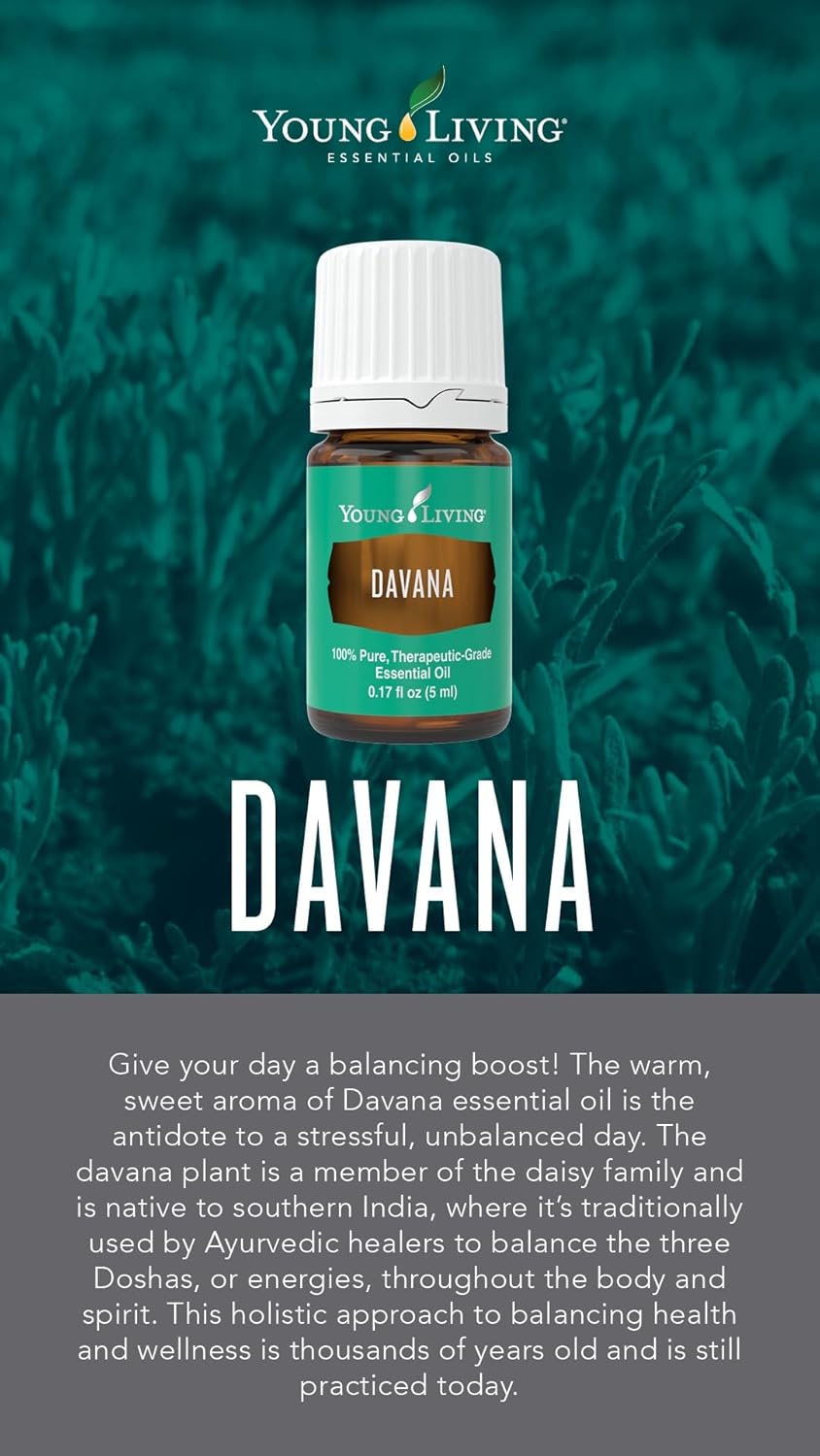Oli Essenziali YOUNG LIVING - Davana - 5ml - 30510