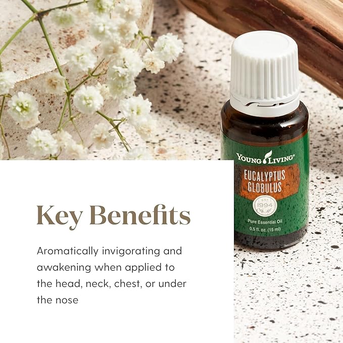 Oli Essenziali YOUNG LIVING - Eucalipto (Eucalyptus Globulus) - 15ml - 32028 - Oil Supports Breathing Comfort & Relaxation