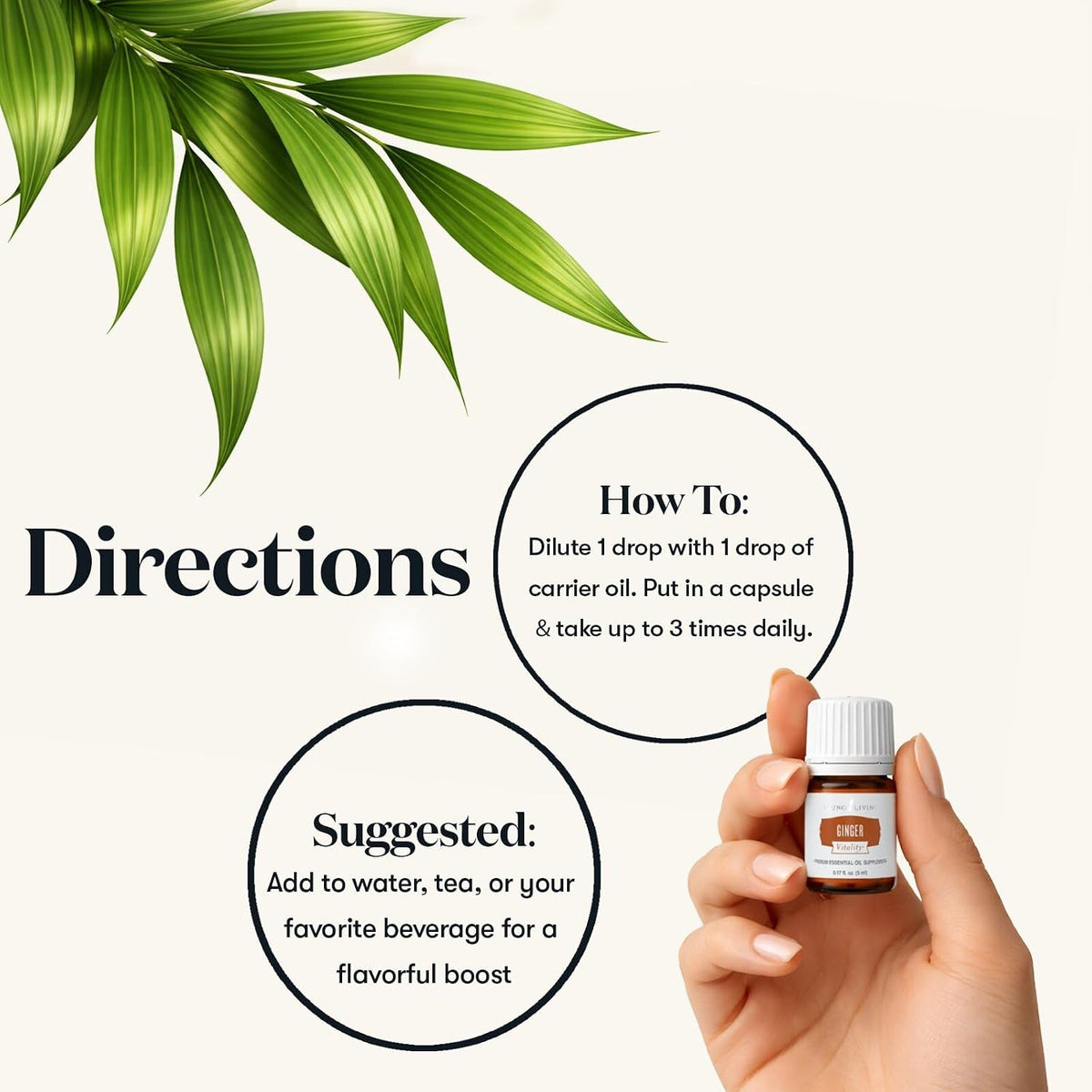 Young Living Essential Oils - Ginger+ (Zenzero+) - 5ml - Natural Flavor Enhancer for Cooking, Relaxation & Wellness