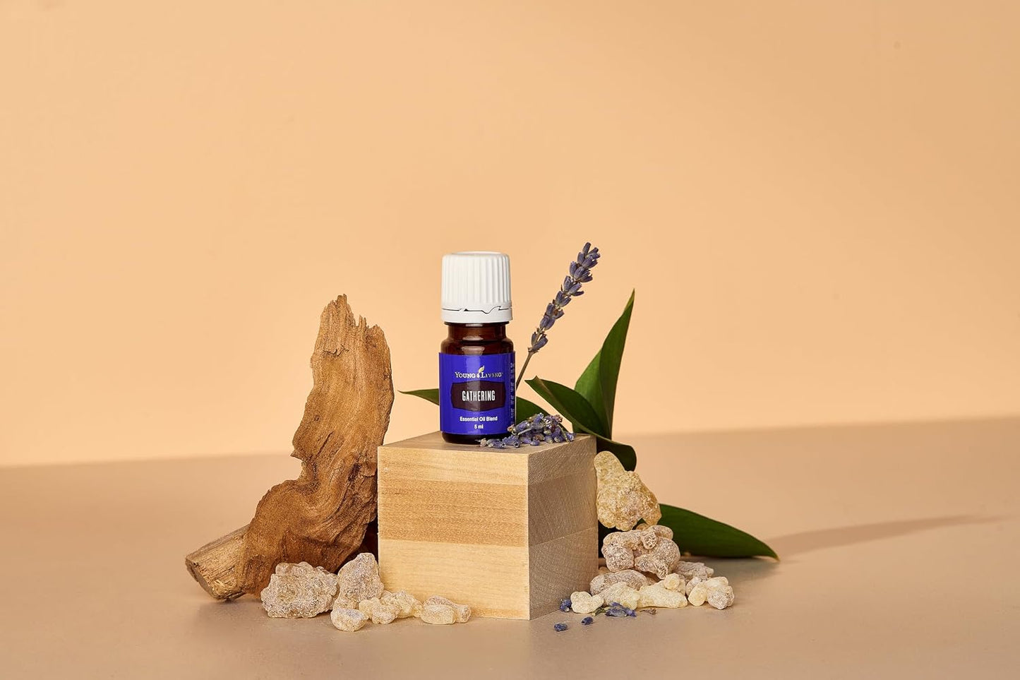 Oli Essenziali YOUNG LIVING - Assembramento (Gathering) - 5ml - 36745 - motional and Mental Well-Being