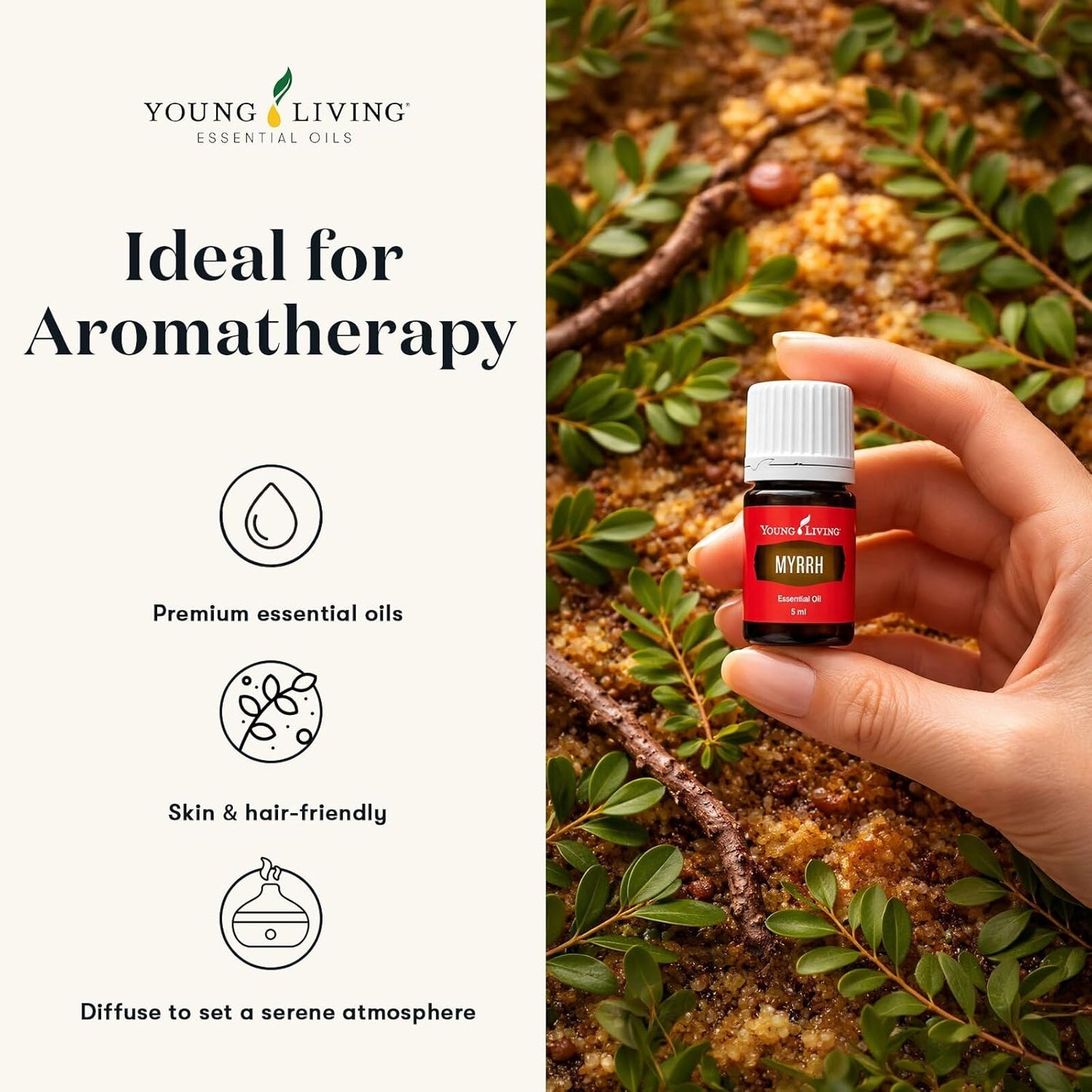 Oli Essenziali YOUNG LIVING - Mirra (Myrrh) - 15ml - 33280 - Calm, Grounded, Atmosphere