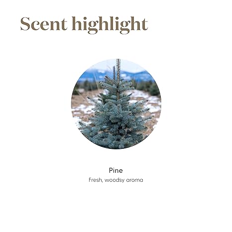 Oli Essenziali YOUNG LIVING - Pino (Pine) - 15ml - 32015 - Personal Care & Aromatherapy