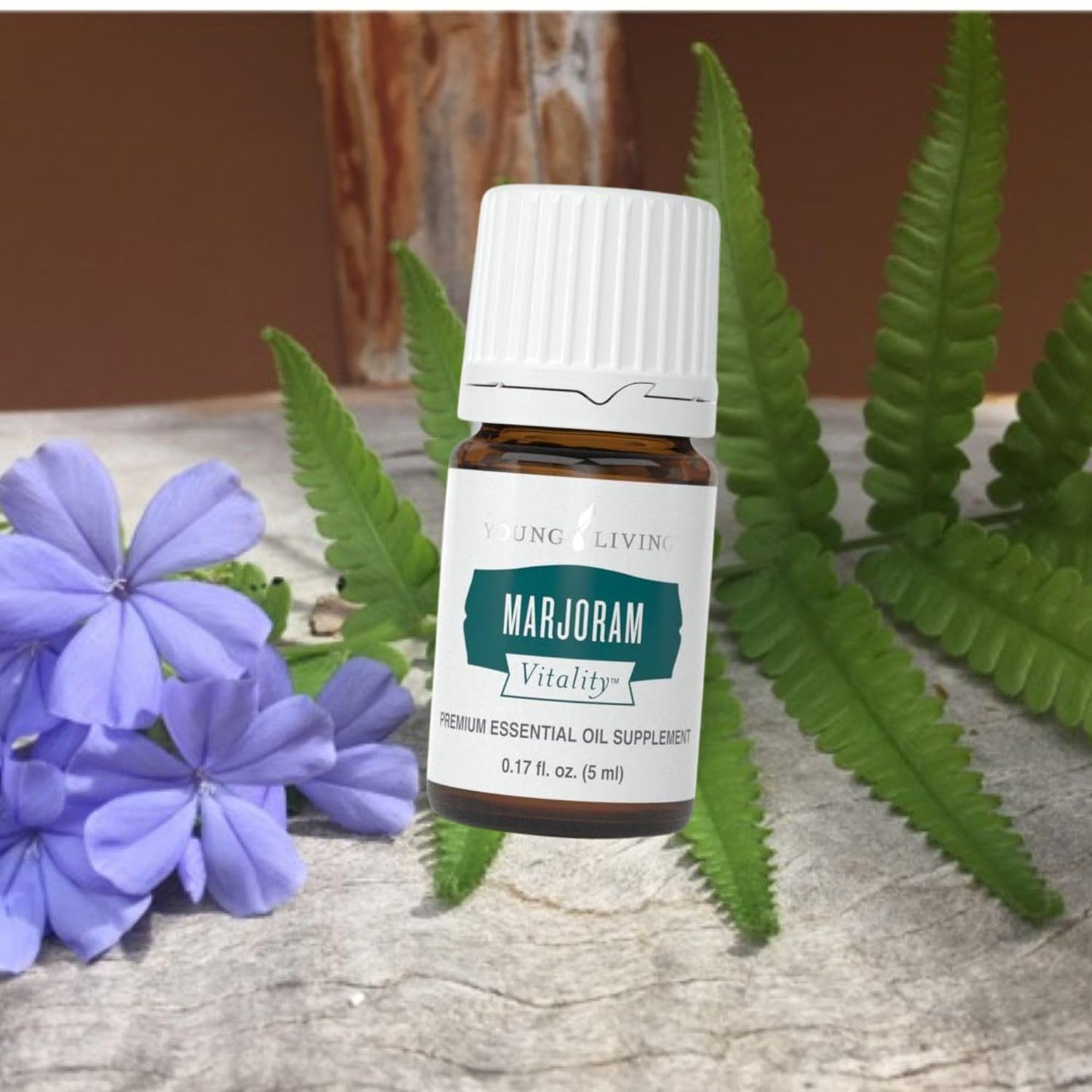 Young Living Essential Oils - Marjoram+ (Maggiorana+) - 5ml - 559208 - Aromatic Herb Blend for Cooking and Culinary Use