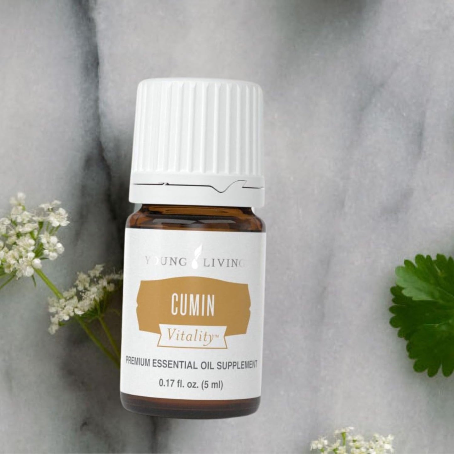 Young Living Essential Oils - Cumin+ (Cumino+) - 5ml - Herbal Supplement, Detox Properties