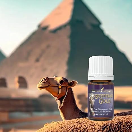 Oli Essenziali YOUNG LIVING - Oro egiziano (Egyptian Gold) - 5ml - 32378 - Aromatic Devotion Blend | Exotic Musky Aroma | Spiritual Aromatherapy