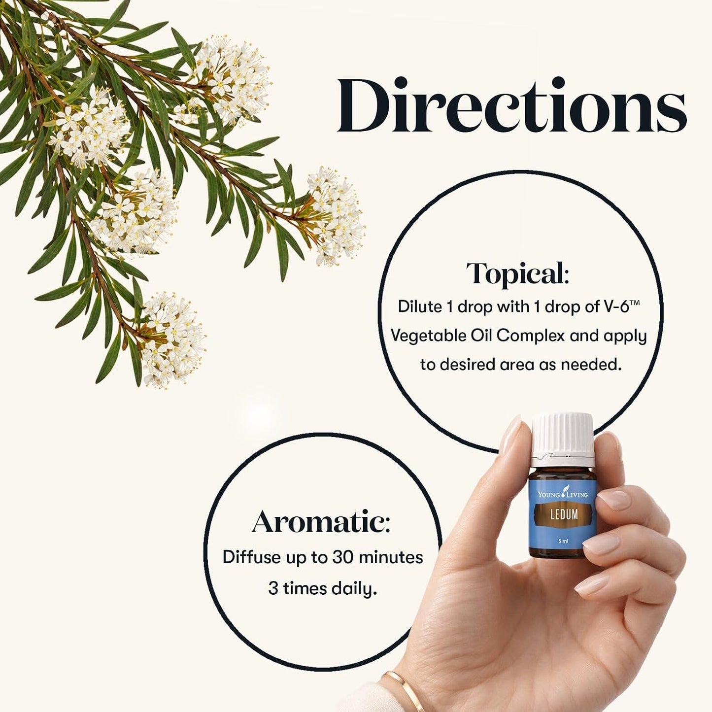 Oli Essenziali YOUNG LIVING - Ledum - 5ml - 33322 - Spiritual Cleansing & Harmonizing Aroma