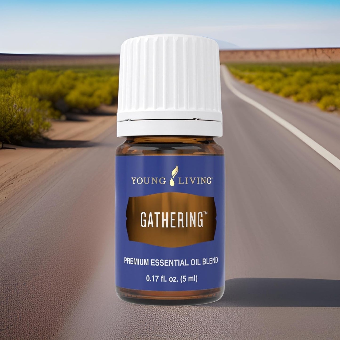 Oli Essenziali YOUNG LIVING - Assembramento (Gathering) - 5ml - 36745 - motional and Mental Well-Being