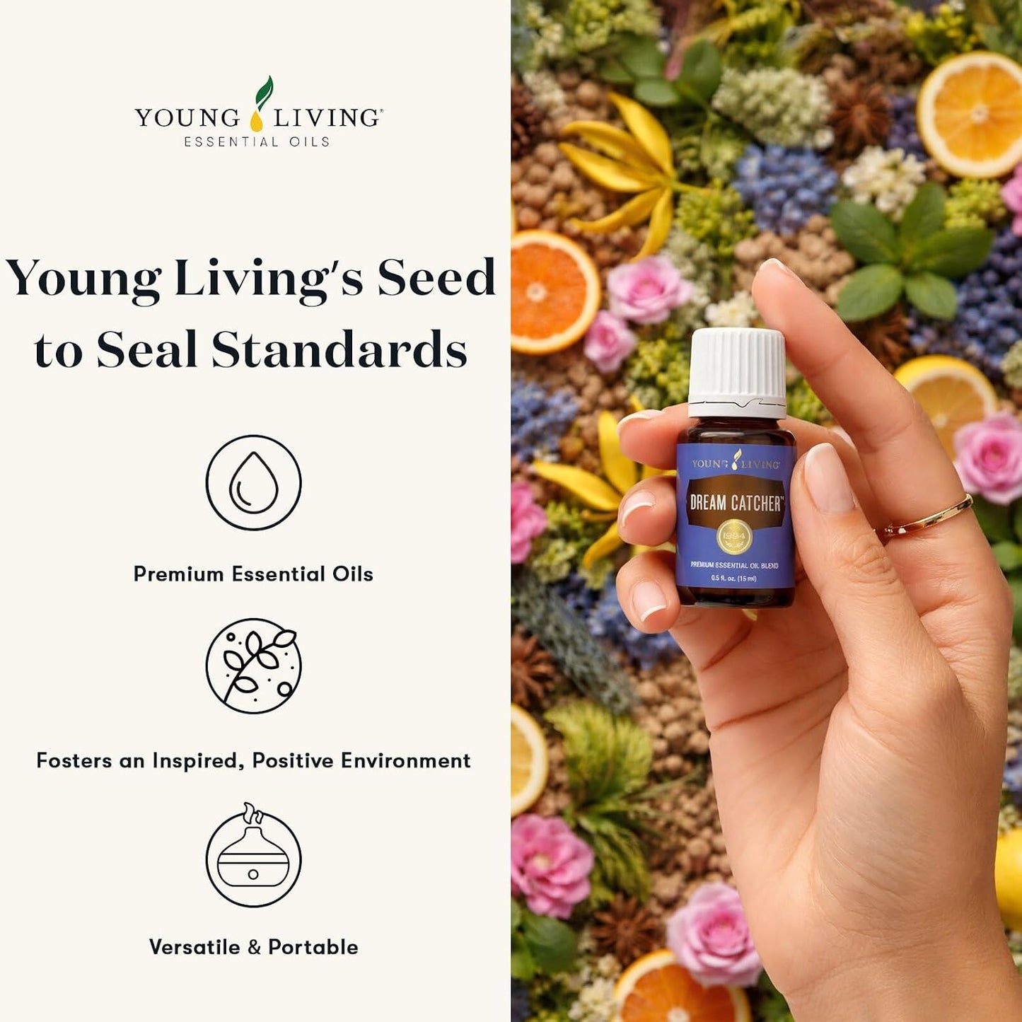 Oli Essenziali YOUNG LIVING - Cacciatore di sogni (Dream Catcher) - 15ml - 33293 - Invigorating Aromatherapy for Positive Mindset