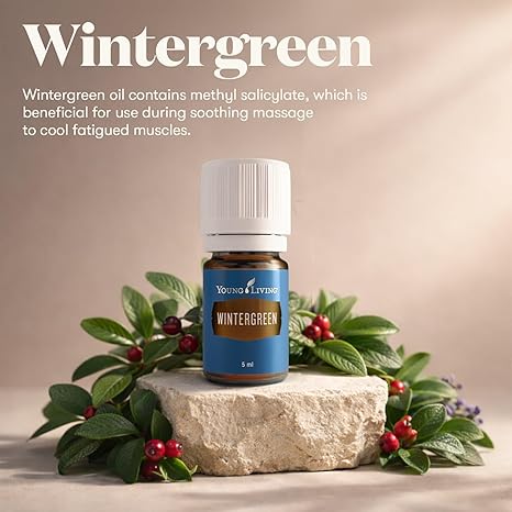 Oli Essenziali YOUNG LIVING - Gaultheria (Wintergreen) - 15ml - 44296 -  Essential Oil