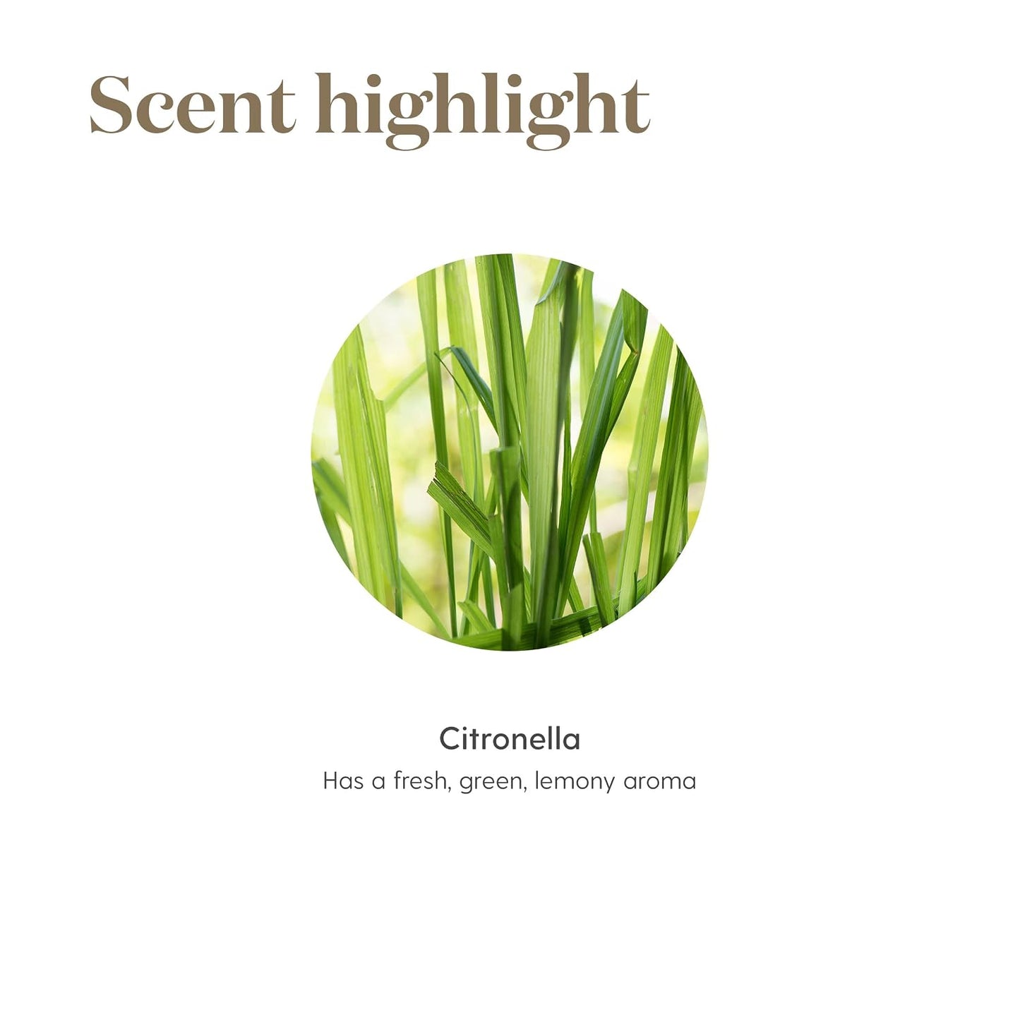 Young Living Essential Oils - Citronella - 15ml - Create a More Invigorating Outdoor Environment