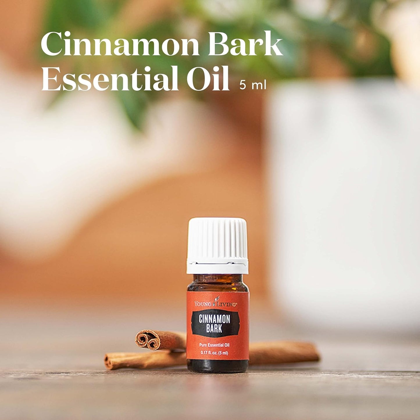 Oli Essenziali YOUNG LIVING - Cinnamon Bark+ 5ml - 558508
