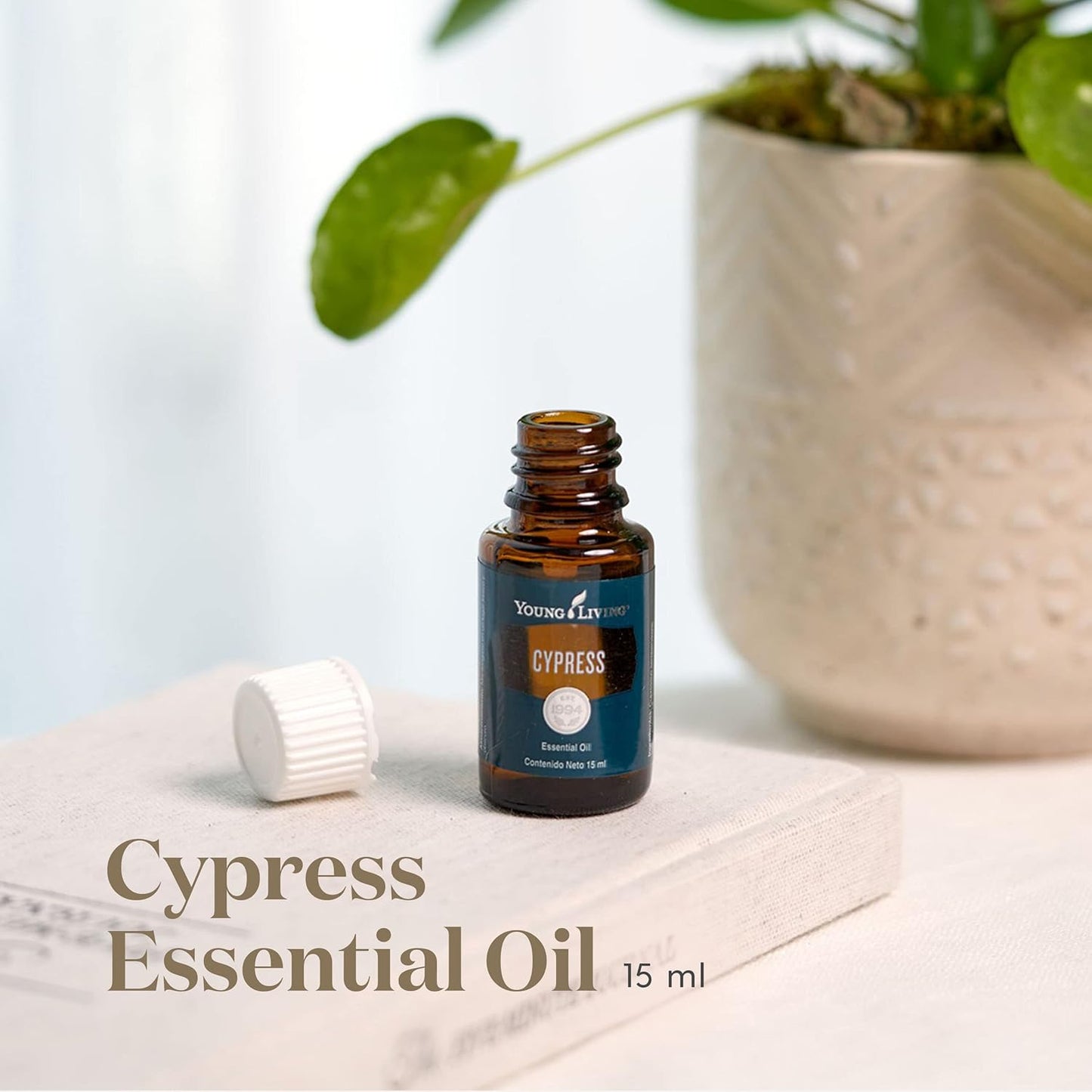 Oli Essenziali YOUNG LIVING - Cipresso (Cypress) - 15ml - 32019 - Oil for Relaxation, Freshness & Daily Aromatherapy
