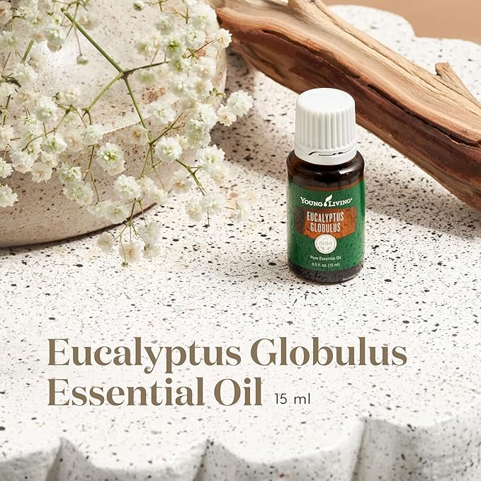 Oli Essenziali YOUNG LIVING - Eucalipto (Eucalyptus Globulus) - 15ml - 32028 - Oil Supports Breathing Comfort & Relaxation