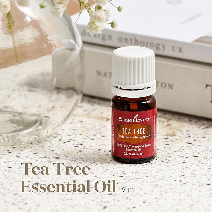 Oli Essenziali YOUNG LIVING - Albero del tè (Tea Tree) - 15ml - 32052