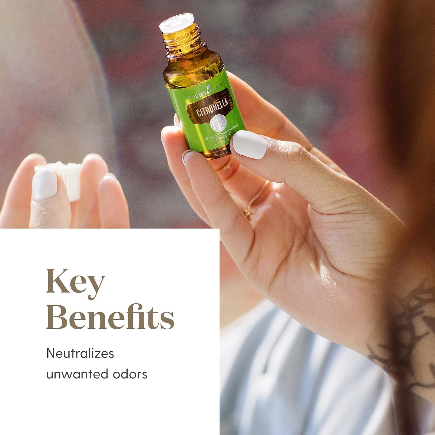 Young Living Essential Oils - Citronella - 15ml - Create a More Invigorating Outdoor Environment