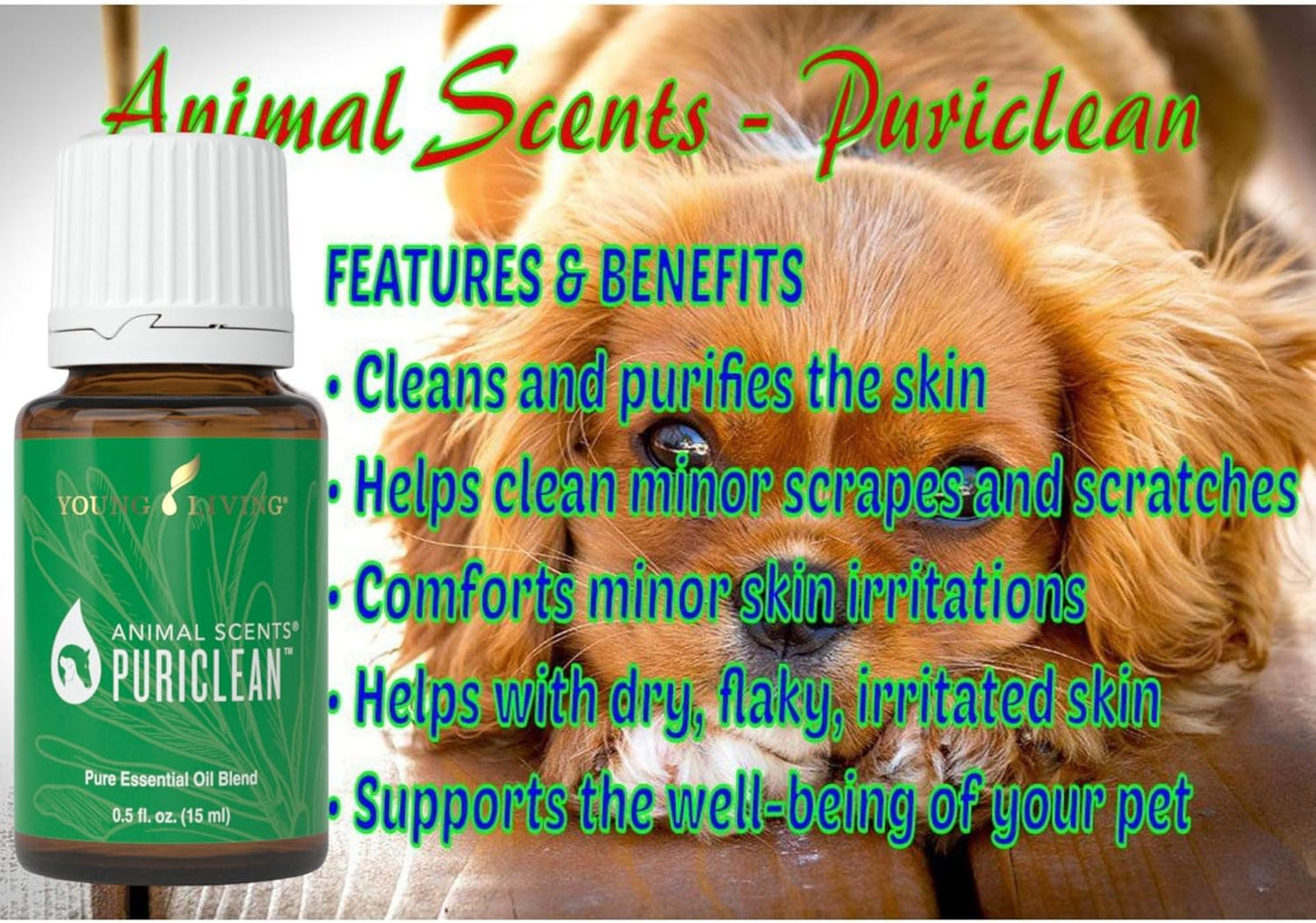 Oli Essenziali YOUNG LIVING - Animal Scents - Pet Fresh - 5ml  Pet-Friendly Oli (Copia)