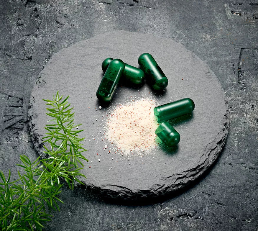 Restore Herbalife 24