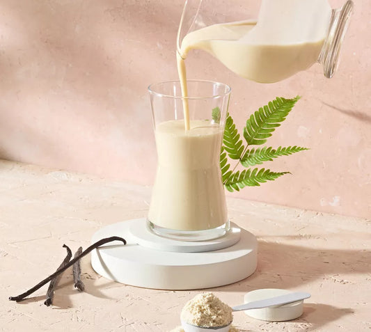 Protein Drink Mix VEGAN - top mix proteine vegane